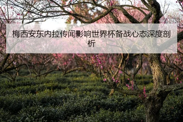 梅西安东内拉传闻影响世界杯备战心态深度剖析